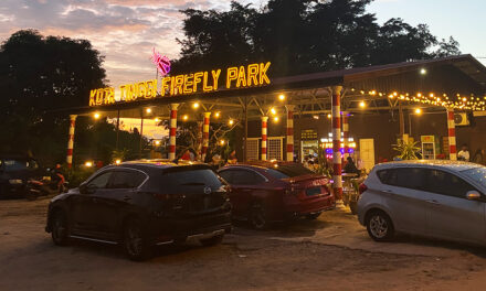 Tempat Menarik di Kota Tinggi Firefly Park, Johor