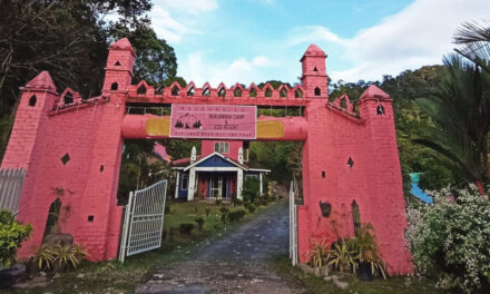 Tempat Menarik di Nurjannah Camp Eco-resort, Pekan Nenas, Pontian
