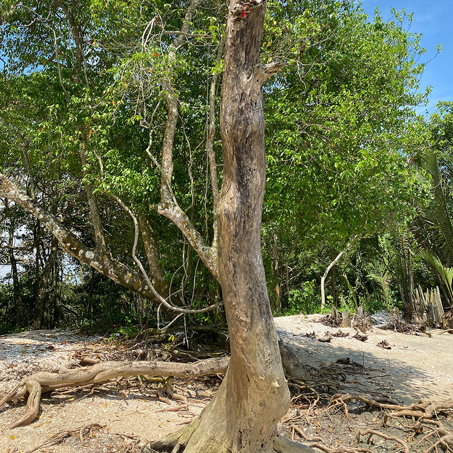 teluk-kerang-beach-pontian-pantai-teluk-kerang