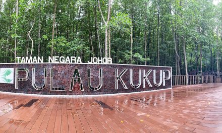 Pemandangan Di Taman Negara Pulau Kukup, Pontian, Johor
